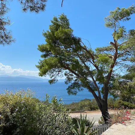 With Panoramic View *