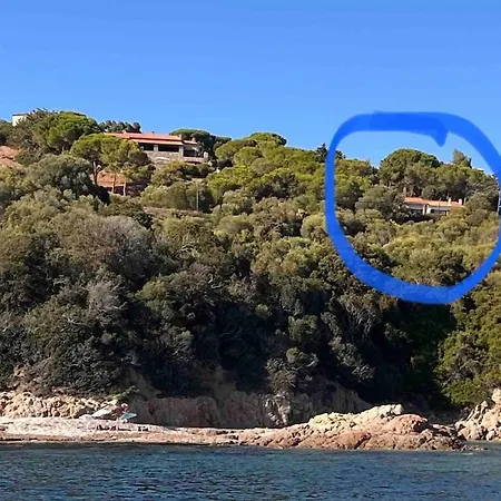 With Panoramic View *